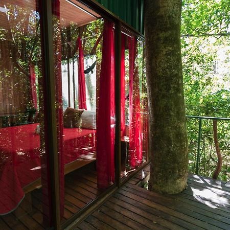 The Green Tree Lodge Monteverde Exterior photo