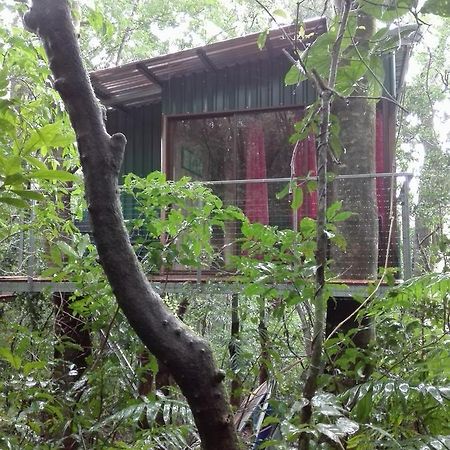 The Green Tree Lodge Monteverde Exterior photo