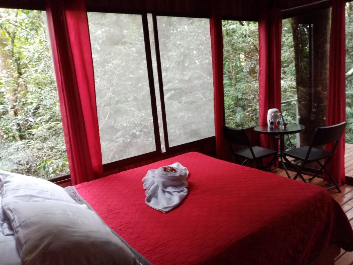 The Green Tree Lodge Monteverde Exterior photo