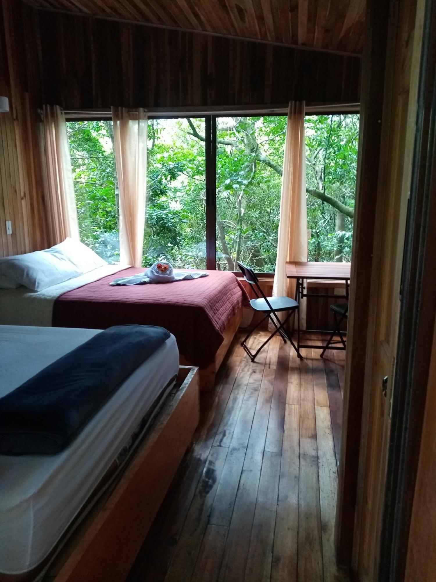 The Green Tree Lodge Monteverde Room photo