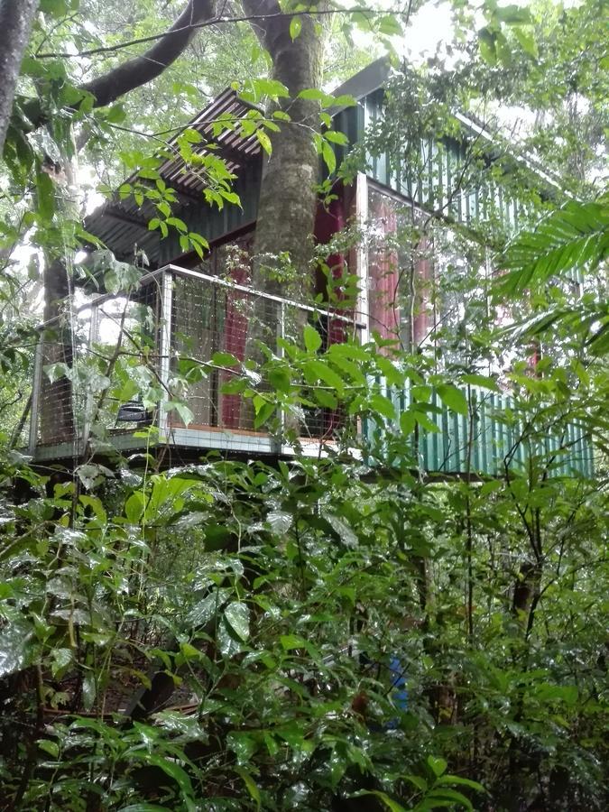 The Green Tree Lodge Monteverde Exterior photo