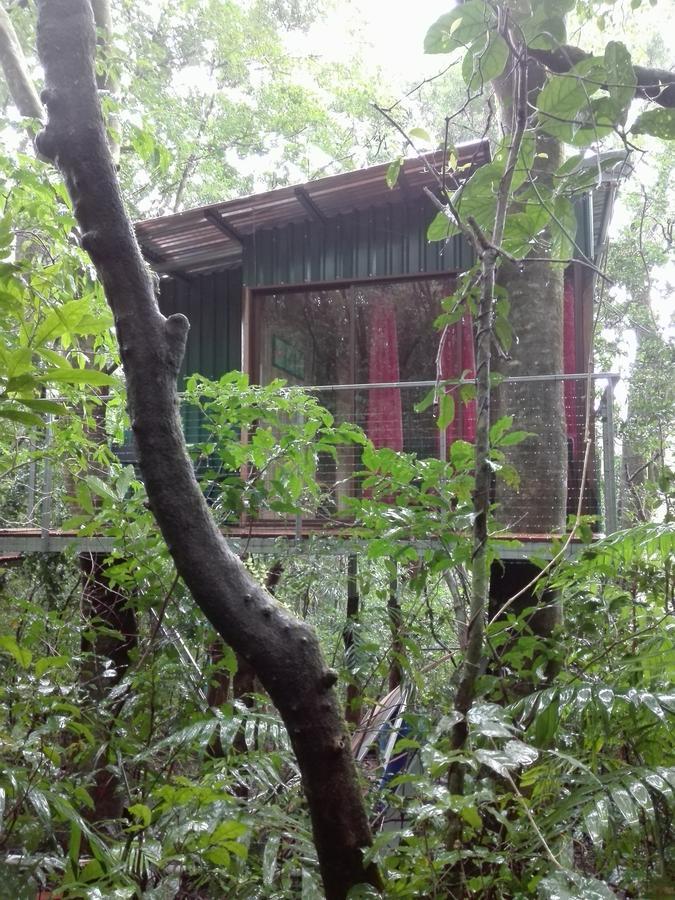 The Green Tree Lodge Monteverde Exterior photo
