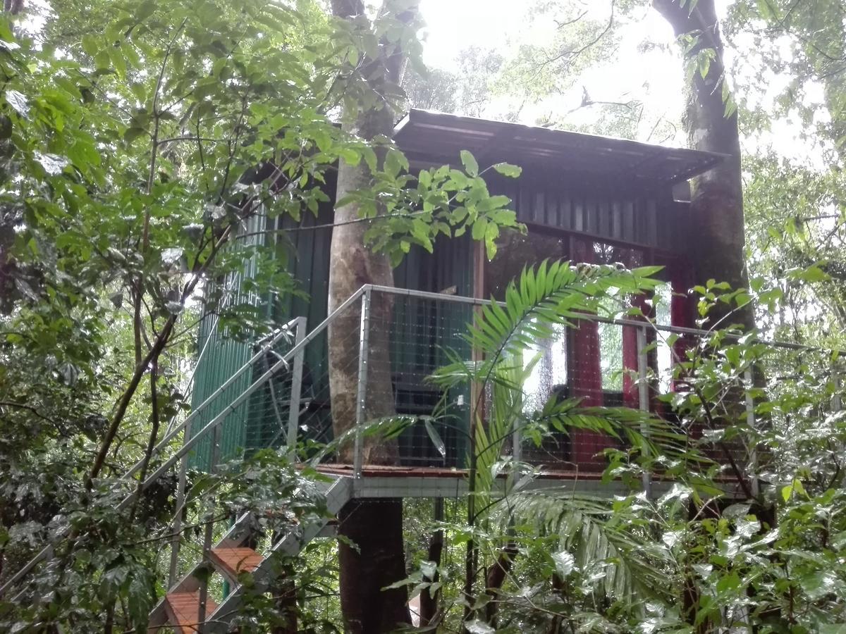 The Green Tree Lodge Monteverde Exterior photo