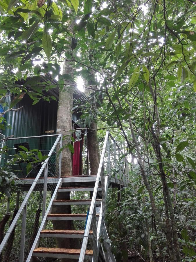The Green Tree Lodge Monteverde Exterior photo